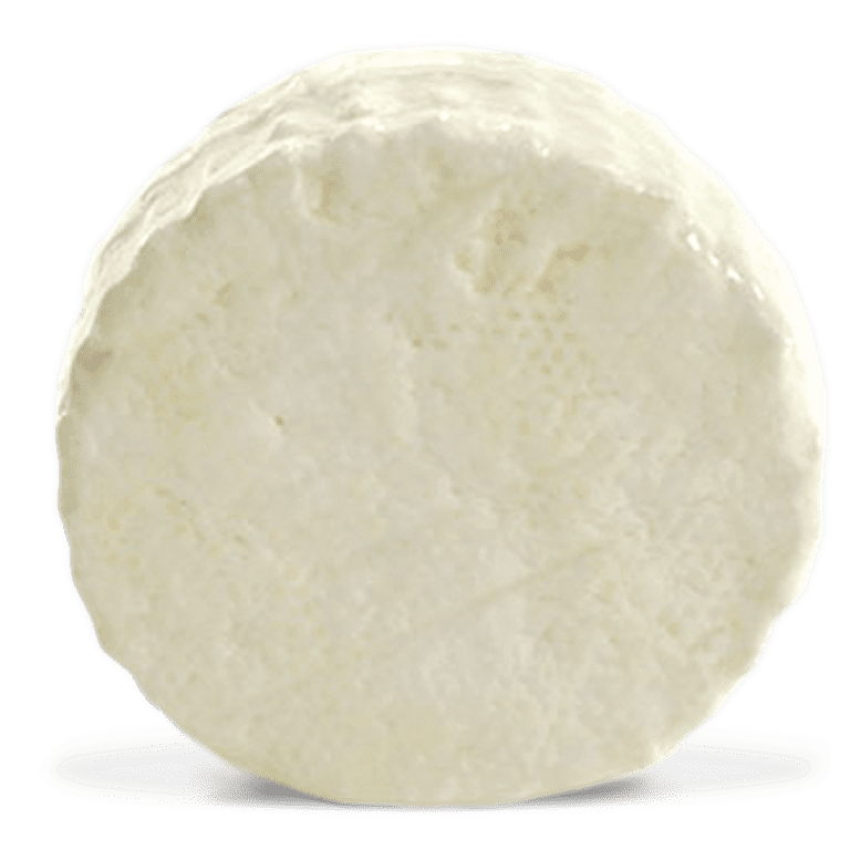 RICOTTA SALATA Alba Cheese